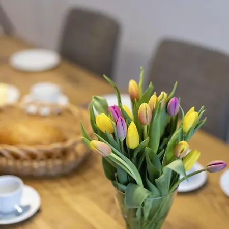 Appartement Pegasus 4 *